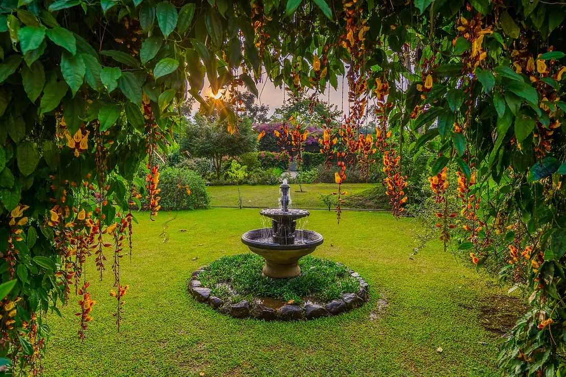 Ingin Berlibur ke Kebun Mawar Situhapa Garut? Cek Lokasi, Ulasan dan Harga Tiket Dulu, Yuk!